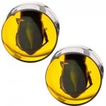 Amber Resin Beetle Surgical Steel Double Flare Plug Pair