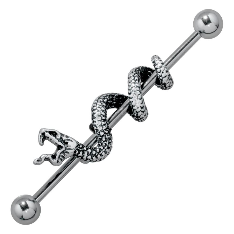 FreshTrends serpent industrial barbell