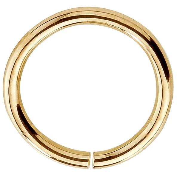 seamless ring by FreshTrends