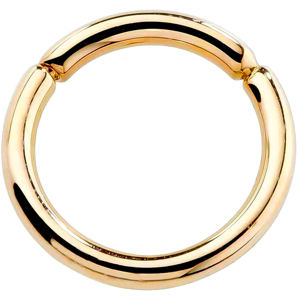 14K Gold Segment Ring