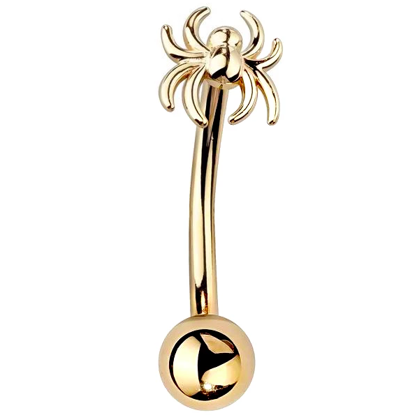 Spider 14K Gold Curved Barbell Eyebrow Ring
