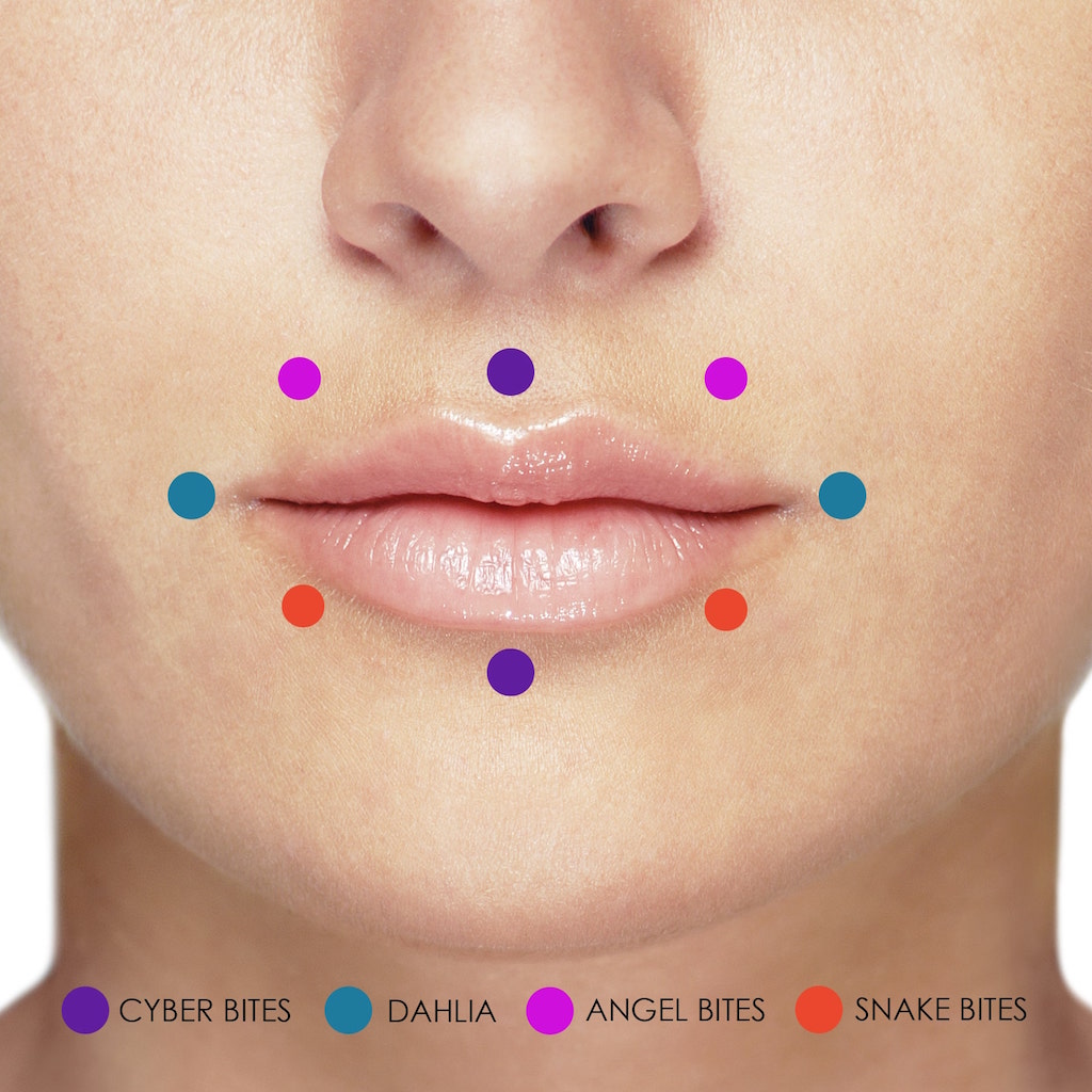 chart of double lip piercings