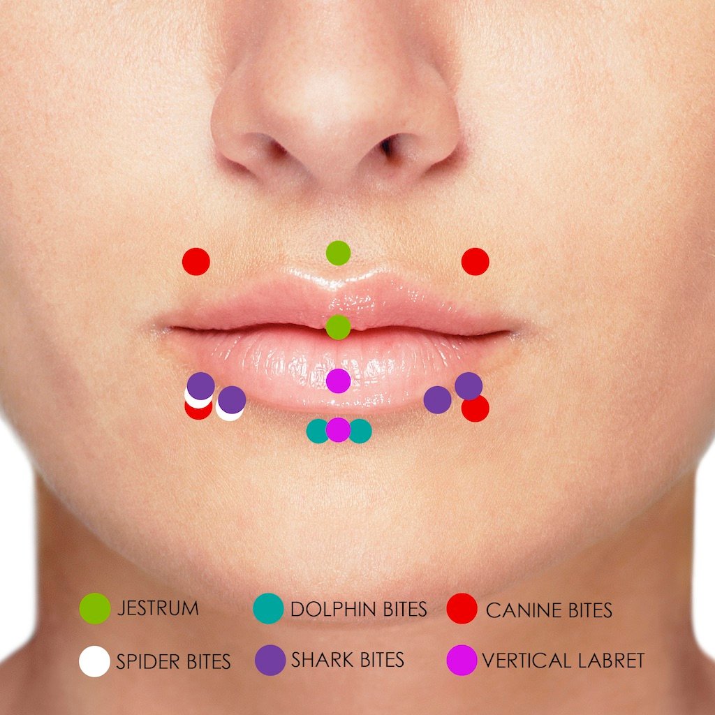 chart of triple and quadruple lip piercings