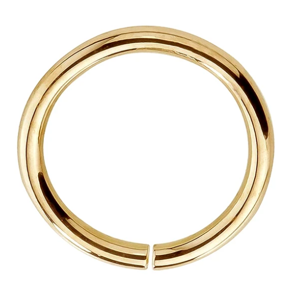 Seamless Ring Hoop 14K Gold or Platinum